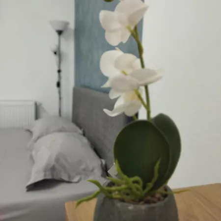 The Secret * Craiova