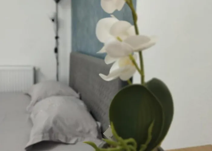 The Secret * 克拉奥华